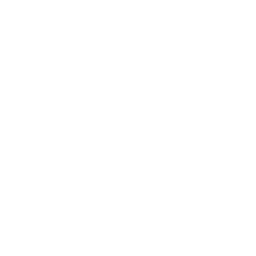 ループ